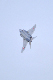 image0587
