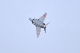 image0588