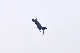 image0594