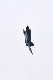 image0596