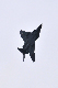 image0598