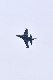 image0629