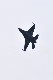 image0634
