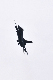 image0664