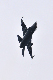 image0666