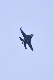 image0683
