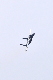 image0737