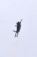 image0739