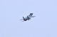 image0756