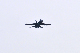 image0785