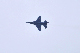 image0806
