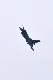 image0829