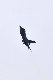 image0830