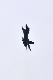 image0831