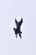 image0832