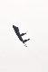 image0901