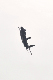 image0902
