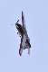 image0919