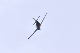 image0927