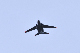 image0961