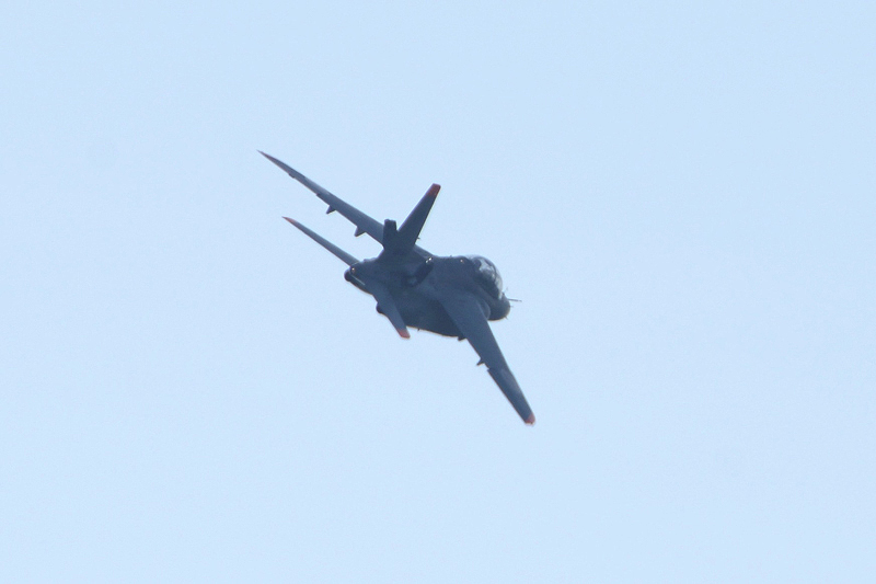 image0595