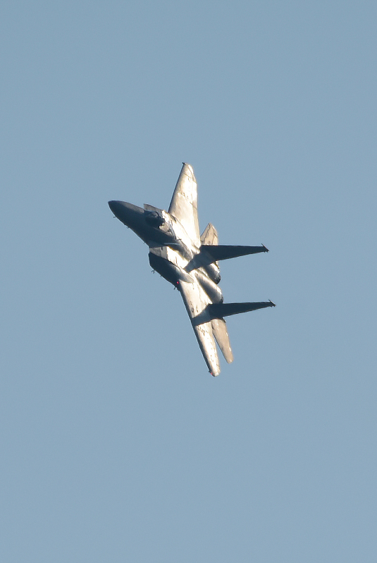image0544