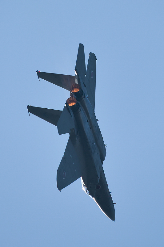 image0630