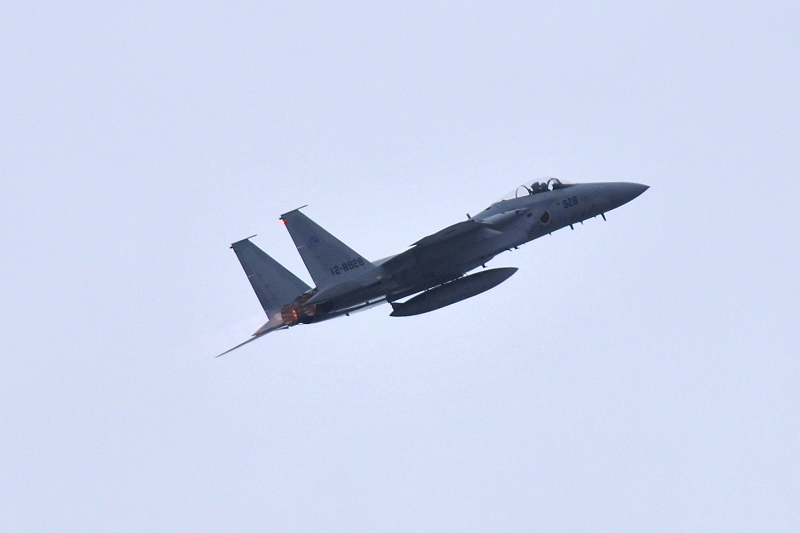image0215