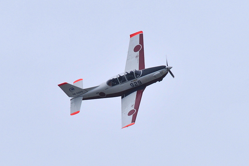 image0341
