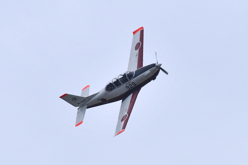 image0344