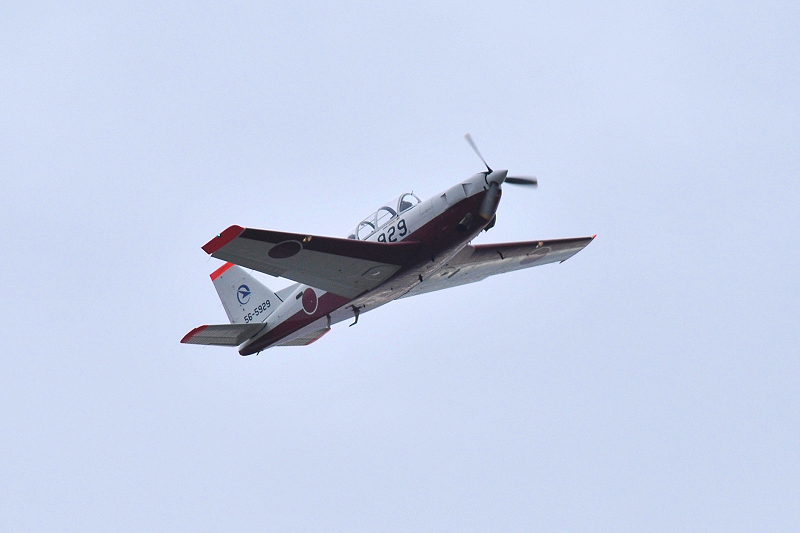 image0347