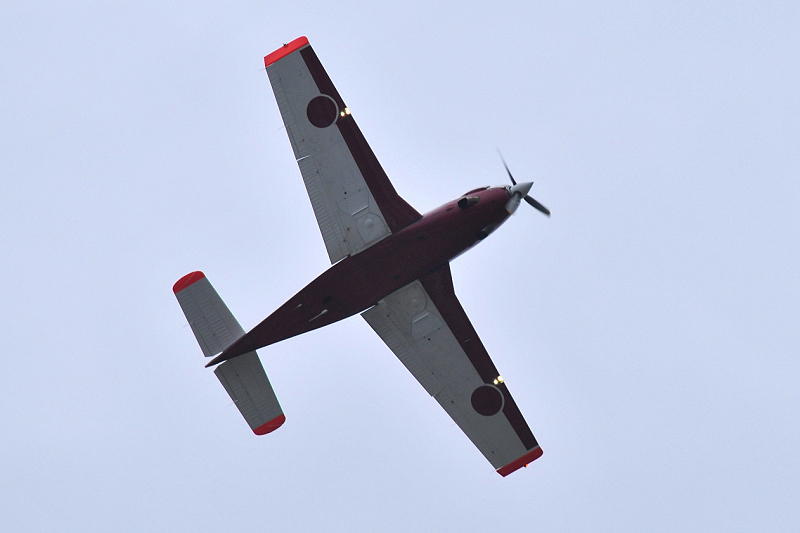 image0349