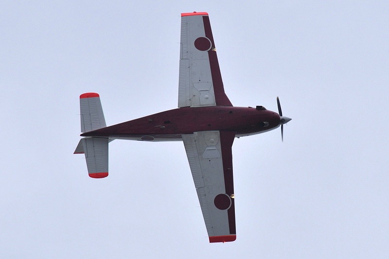 image0351