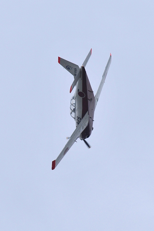 image0356