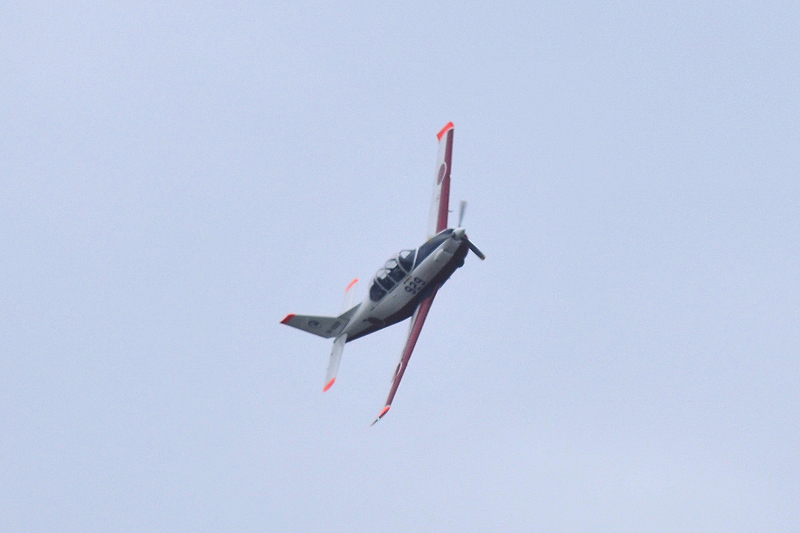 image0366