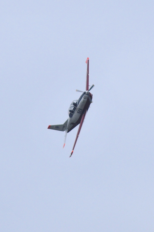 image0367