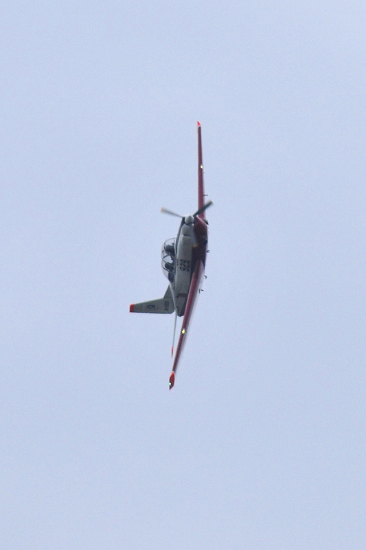 image0368