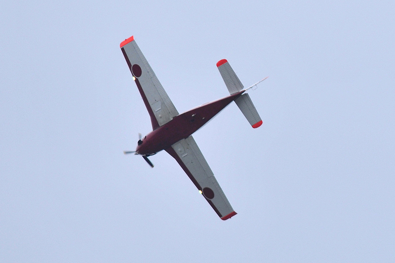 image0377