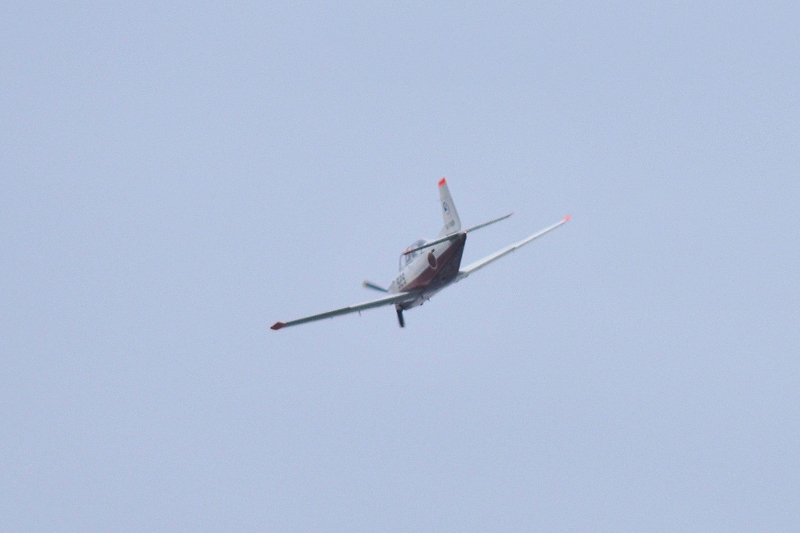 image0382