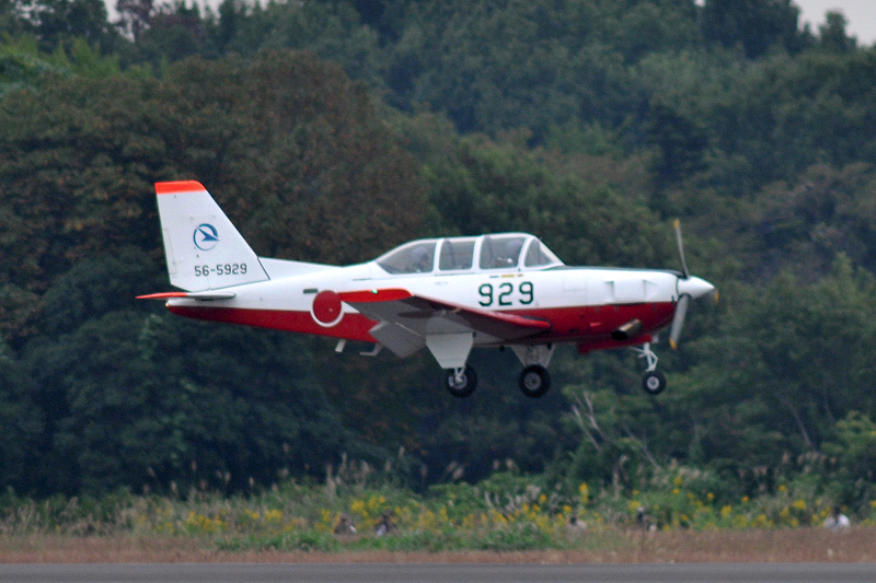 image0397