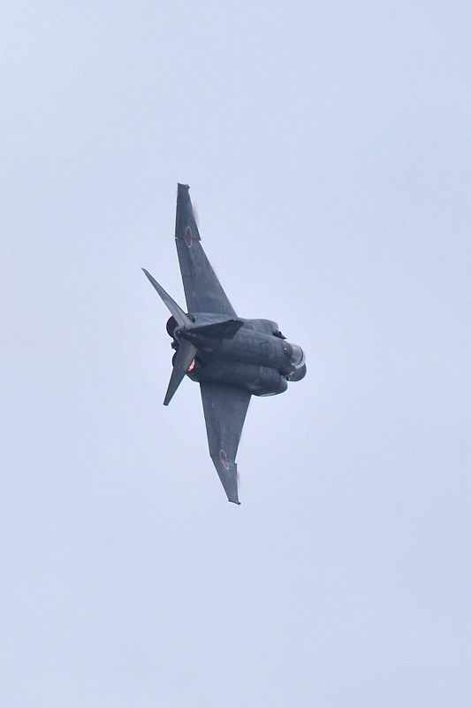 image0493