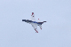 image0084