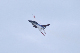 image0086