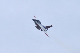 image0088