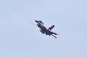 image0089