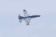 image0107
