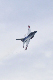 image0118