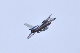 image0134
