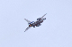 image0136
