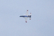 image0234